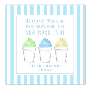 Etiqueta de presente de fim de ano letivo para impressão em formato de raspadinha - "Espero que seu verão seja muito divertido!" - Raspadinha, Raspadinha, Aquarela - Download INSTANTÂNEO!