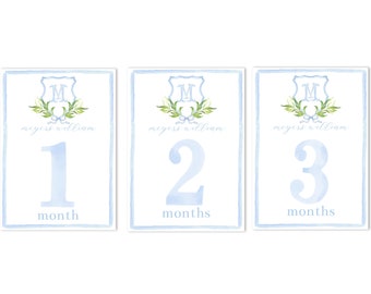 Set of 12 Custom Monogram Baby Monthly Milestone Cards | 5 x 7 | Print at Home!
