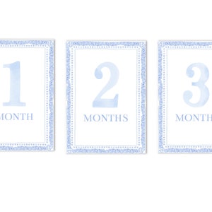 Set stampabile di 12 biglietti mensili per le tappe fondamentali del mese azzurro / 5 x 7 / acquerello, Grandmillenial, preppy, classico per neonati - Stampa a casa!