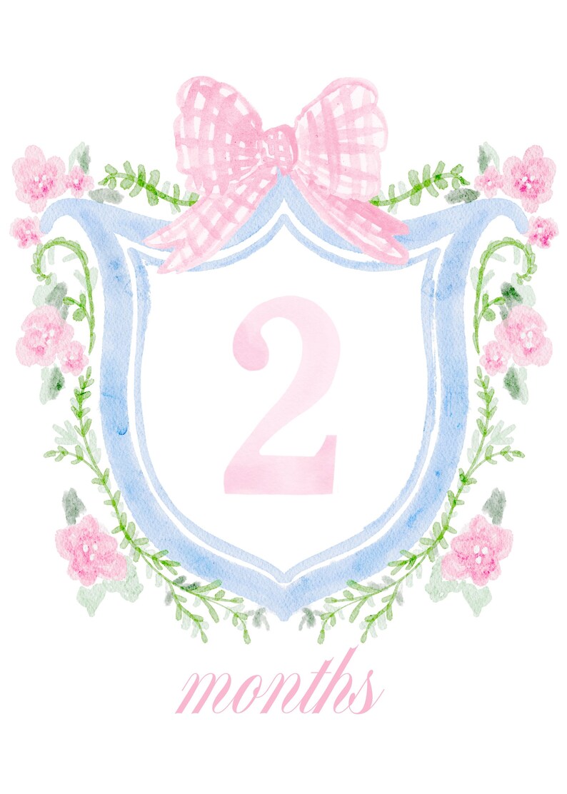 Baby Girl Watercolor Floral Crest Monthly Milestone Cards | 5x7 ...