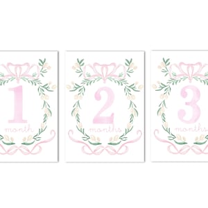 Conjunto para impressão de 12 cartões de marcos mensais para bebês com brasão floral rosa | 5 x 7 | Grandmillenial, brasão floral, DOWNLOAD INSTANTÂNEO; imprima em casa!