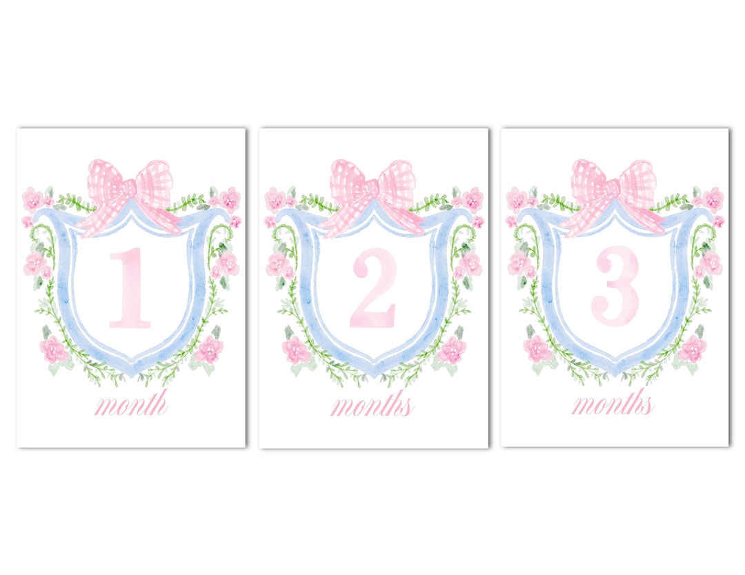 Baby Girl Watercolor Floral Crest Monthly Milestone Cards | 5x7 ...