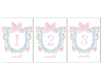 Puede incluir: Tres ilustraciones de acuarela de un escudo azul y blanco con un lazo rosa y detalles florales. Los escudos muestran los números 1, 2 y 3 con el texto "mes", "meses" y "meses" debajo de cada escudo.