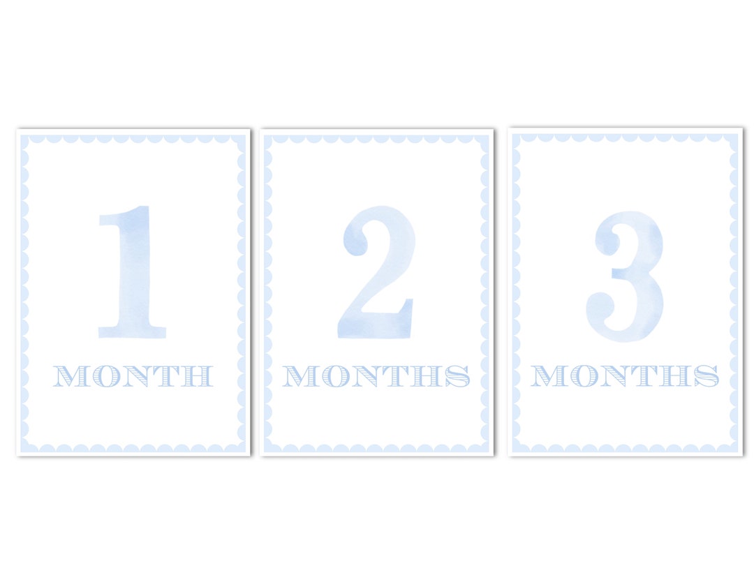 Printable Set of 12 Baby Boy Scalloped Border Monthly Milestone Cards ...