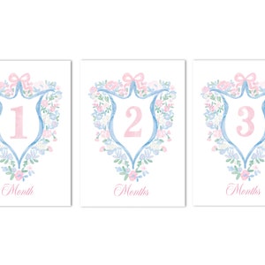 Cartes d'étape mensuelles avec écusson floral aquarelle pour bébé fille | 5 x 7 | Grand-millenial, Preppy, Regarde-moi grandir | Téléchargement instantané, impression depuis chez vous !
