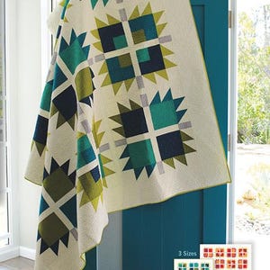 May include: A quilt with a geometric pattern in shades of green, blue, and gray, hanging on a teal door. The quilt features a repeating design of squares and star-like shapes. The text "BEARLY" is at the top, and "ROBIN PICKENS QUILT PATTERNS" is at the bottom.