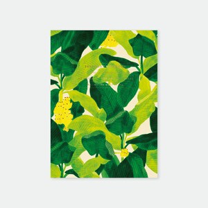 Beverly Hills Bananas Leaves - Notebook A5