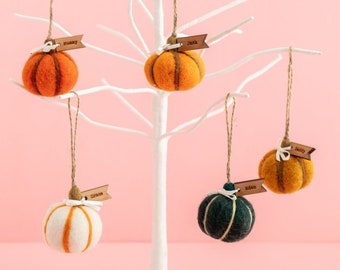 Personalised Pumpkin Decorations - 5 Pack - Hanging Pumpkins Thanksgiving Table Party Decorations Autumn Wedding Place Names