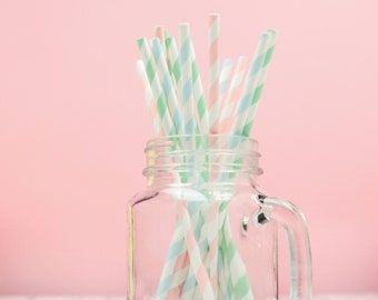 Pastel Stripe Paper Straws - 10 Pack - Birthday Party Decorations Cocktail Straws Wedding Straws Foil Drinking Straws Outdoor Party