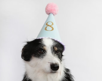 May include: A black and white dog wearing a light blue party hat with a pink pom-pom on top. The hat has a gold glitter number 8 on the front.