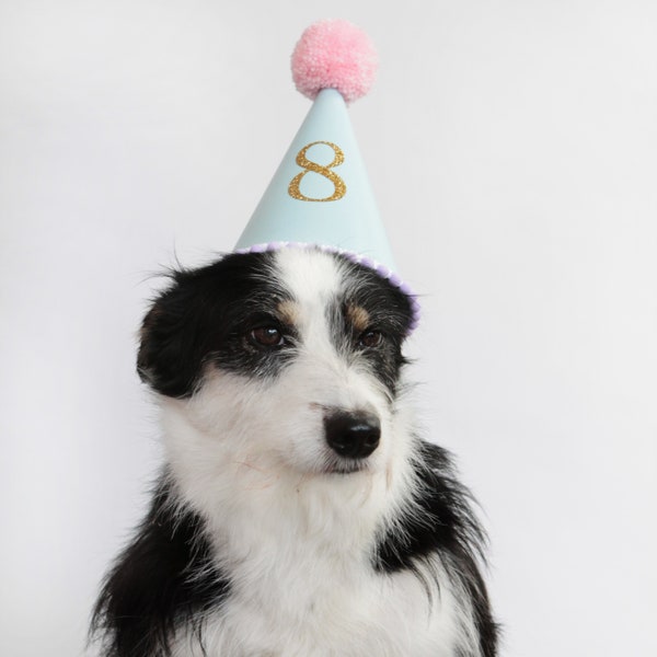 Dog Birthday Hat -  Personalized Dog Birthday Gift For Dog Party Hat Dog Photo Shoot Animal Photo Props First Birthday Dog Gift Ideas