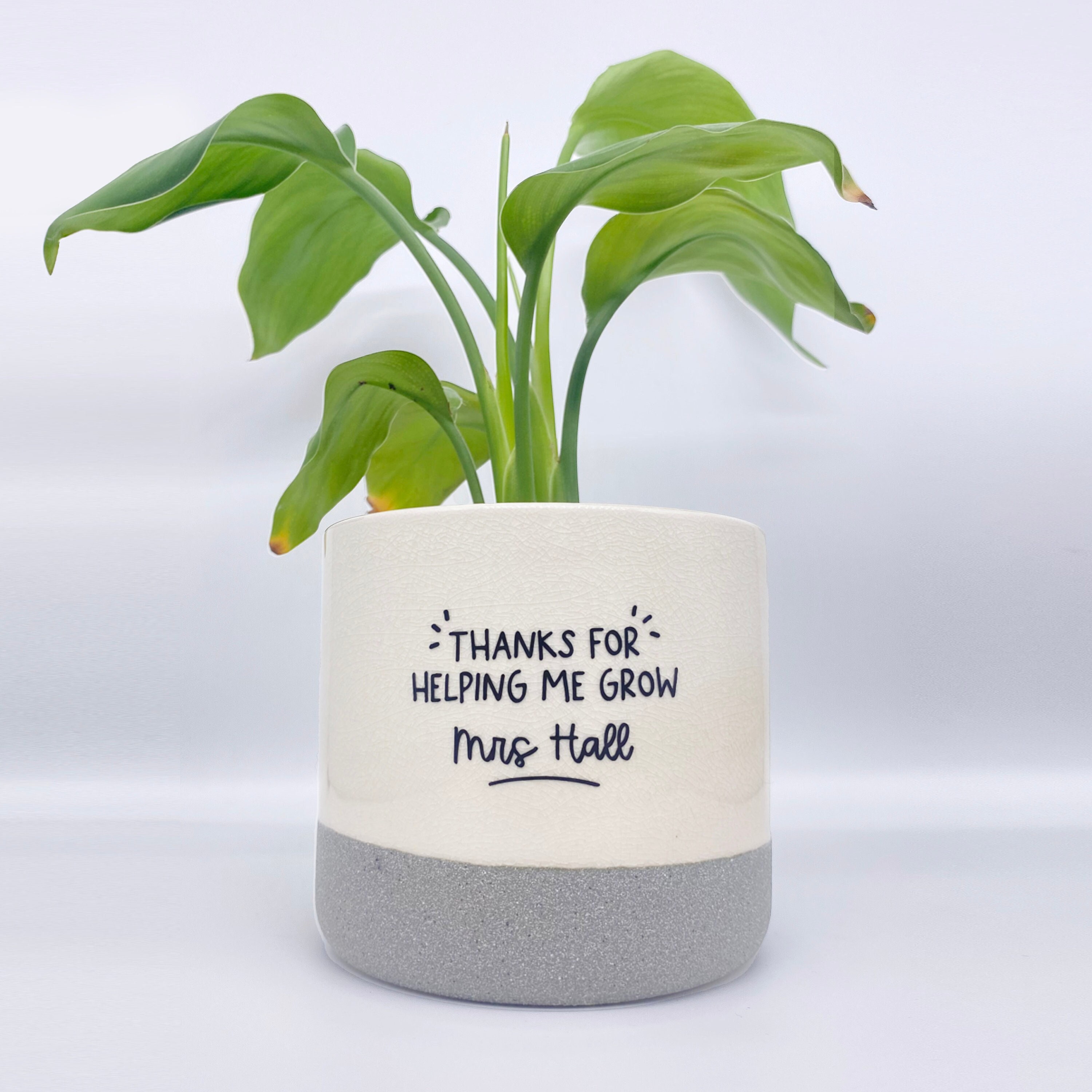 Cheaper Than Therapy Plan Pot, Positive Vibes Plant Pot, Funny plant pot  design, Planter Pot Decal, encouragement gift - Wolfantique