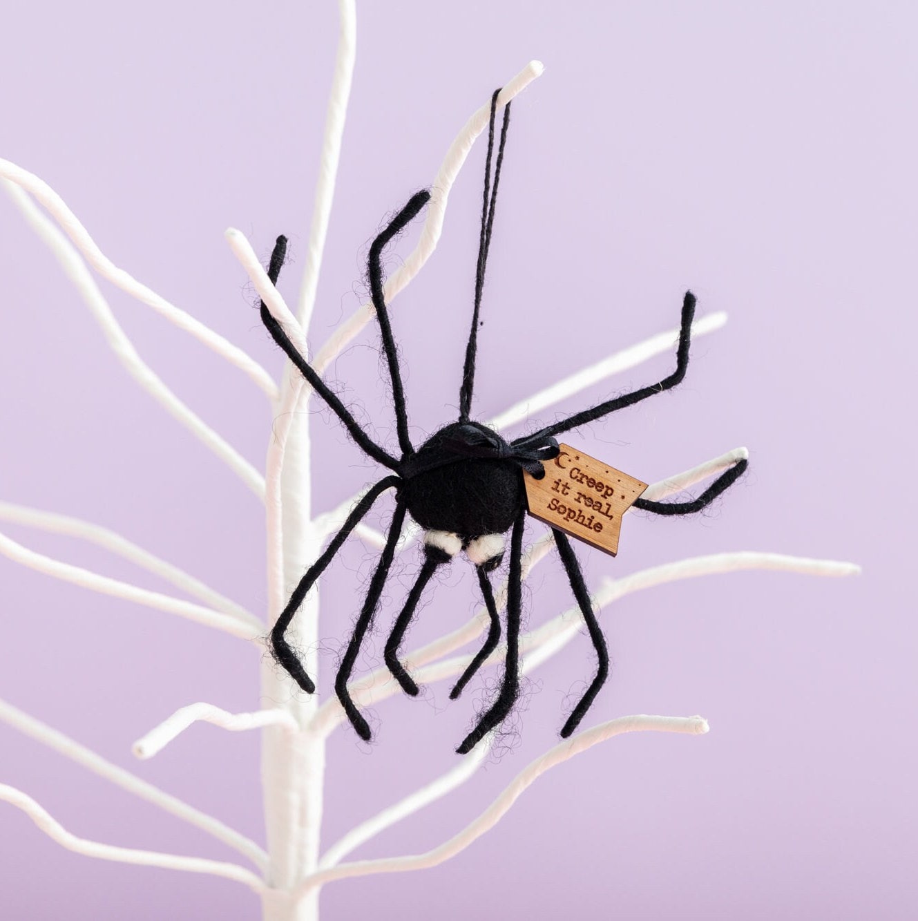 spider, Significado desde el tema Insects