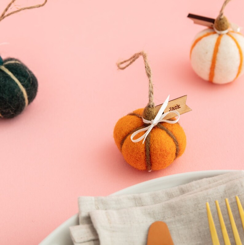 May include: Orange felt pumpkin with a brown felt stem and a white ribbon. A wooden tag with the name "Jack" is attached to the pumpkin.