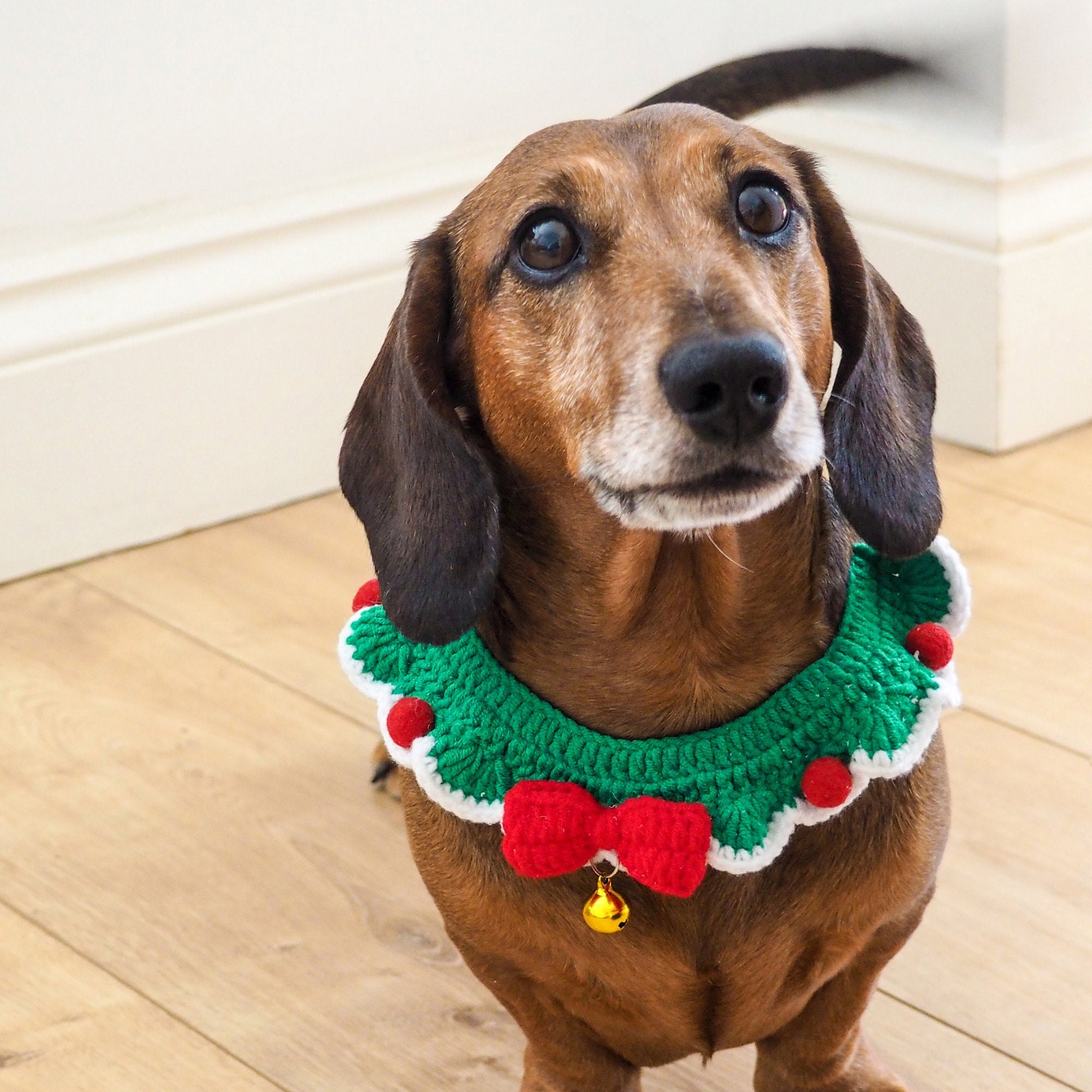 Dog Christmas Outfit Etsy Canada