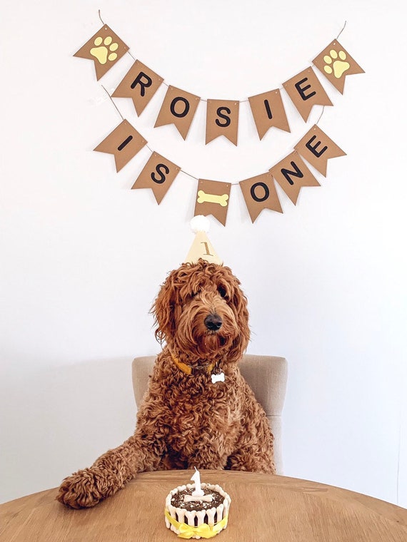 Dog 1st birthday presents hot sale