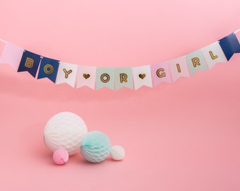 Baby Shower Boy Or Girl Flag Garland - Baby Shower Decorations Gender Reveal Party Decorations Gender Bunting