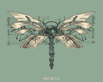 Motor Fly Print