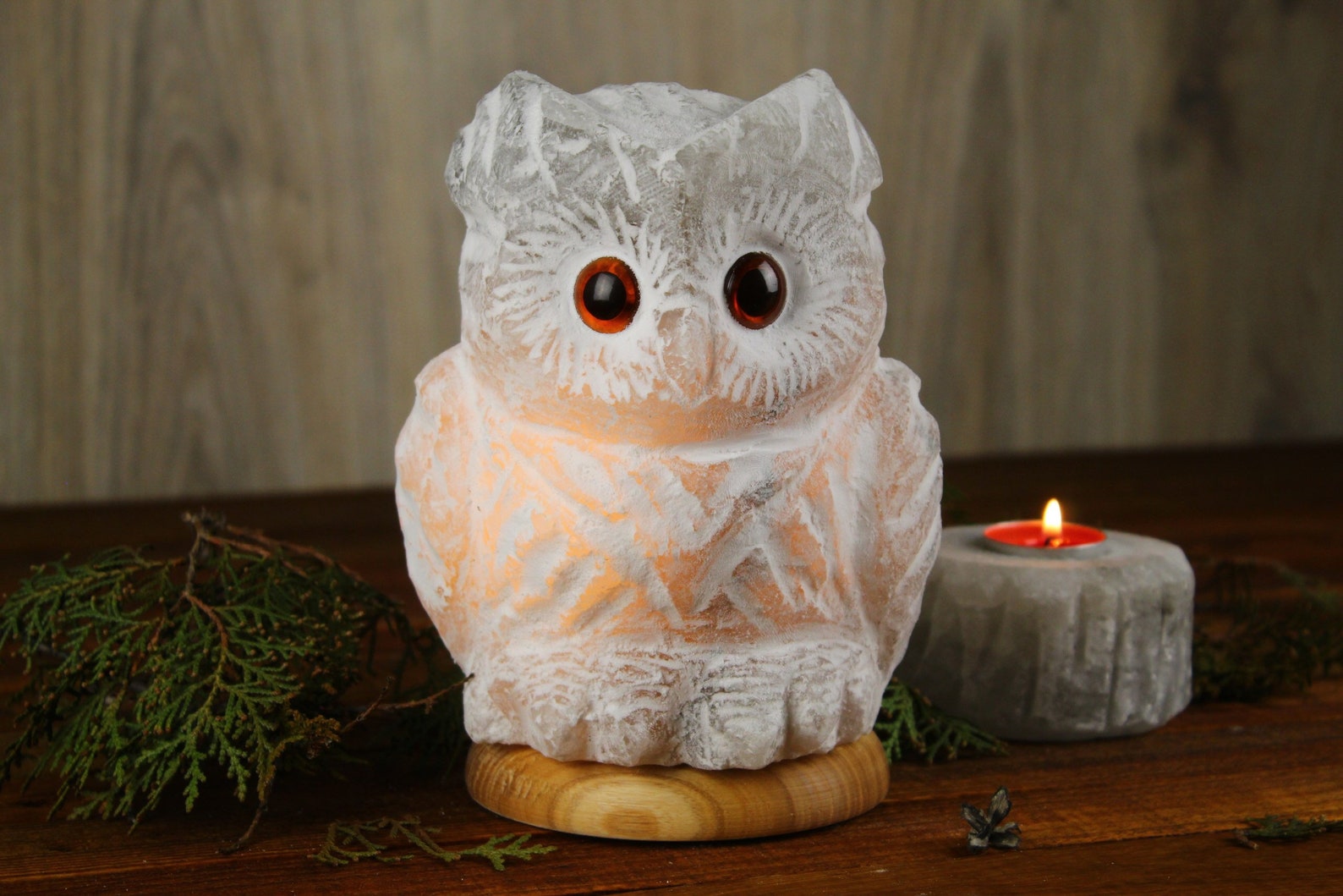 Salt lamp large night light Owl gifts Custom interior ligting Etsy