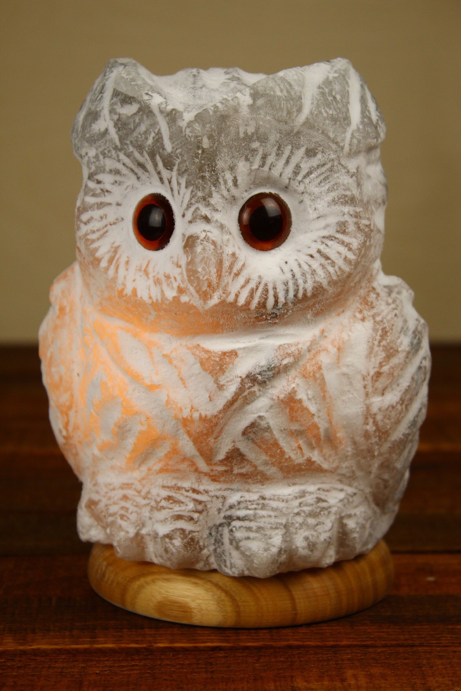 Salt lamp large night light Owl gifts Custom interior ligting Etsy