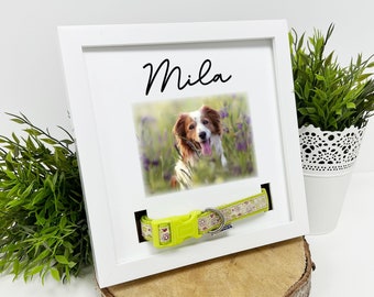 Personalised Square Dog Memorial Photo Collar Frame | Pet Memorial | Dog Collar Frame | Pet Picture Frame