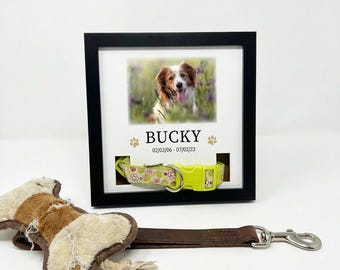 Personalized Dog Memorial Photo & Collar Frame Lots of Options | Pet Memorial Gift