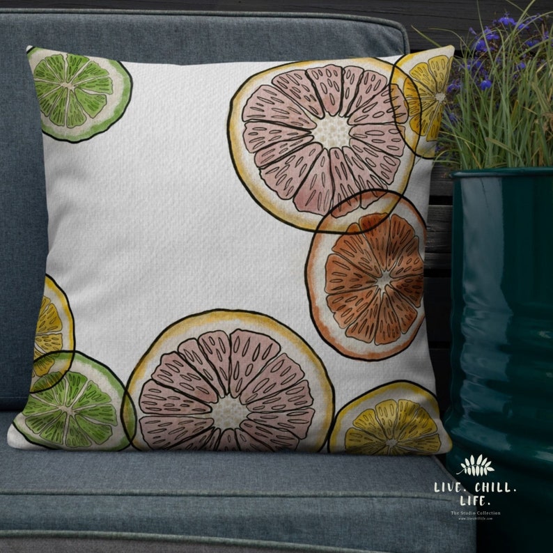 Citrus accent pillow Coastal style Citrus Pillow Summer home Patio pillow Florida style Kitchen decor decorative citrus 22×22