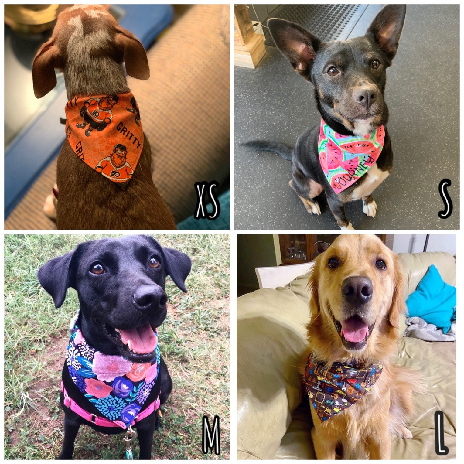 Phillies dog bandana 2025