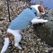 see more listings in the Dog sweater section