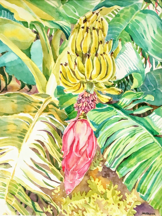 Banana Flower Etsy,Fun Card Games For Two People