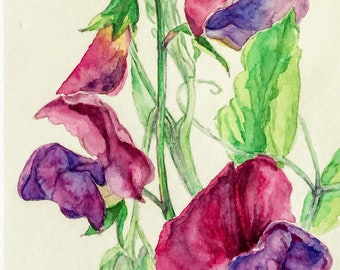 Sweet peas