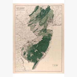 New Jersey, Forests & Watersheds Antique Map 1900 Teak Wood Magnetic Hanger Frame Optional image 1