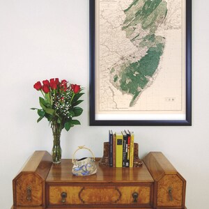 New Jersey, Forests & Watersheds Antique Map 1900 Teak Wood Magnetic Hanger Frame Optional image 3