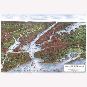 May include: A vintage illustration of the City of New York and its vicinity, showing the city's layout and surrounding waterways. The illustration is titled "View of the City of New York and Vicinity" by August R. Ohman.