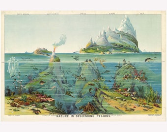 océanos; Nature in Ascending Regions by Yaggy, Geography Poster 1893 - Marco de suspensión magnético de madera de teca opcional