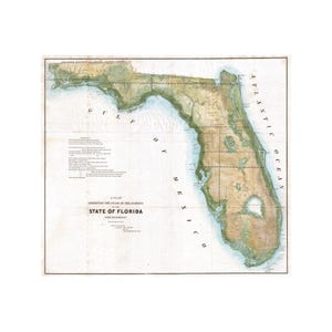 May include: A vintage map titled A PLAT EXHIBITING THE STATE OF THE SURVEYS IN THE STATE OF FLORIDA WITH REFERENCES. The map features tan and green landmasses, black text labels, and grid lines depicting the Florida peninsula and coastline.
