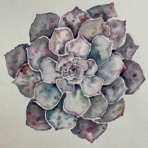 Succulent. Original Artwork.