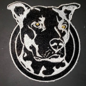 PITBULL Patch, MOTORCYCLE Patch,   black with yellow gold eyes, fun patches, EMBROIDERED patches, handmade