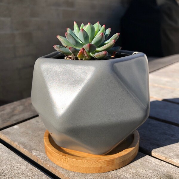 Gray Planter Etsy