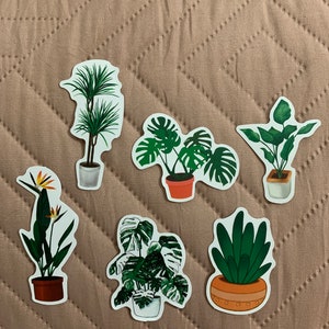 Plant Mom Themen-Sortenpackungen
