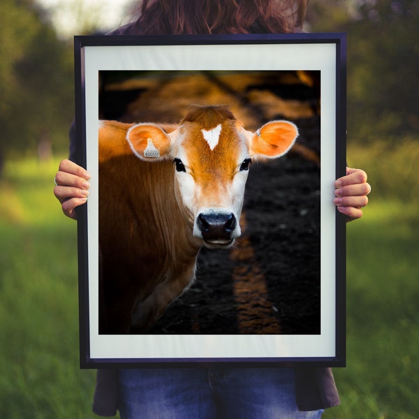 Baby Calves Picture, Animal Crossing, Highland Cow, Nursery Art, Country Photo, Printable Art, Baby Art, Cow Gifts, Cow Print, Farmhouse