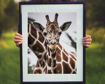 Giraffe Portrait Art Print: Safari Nursery Decor (Digital Download)