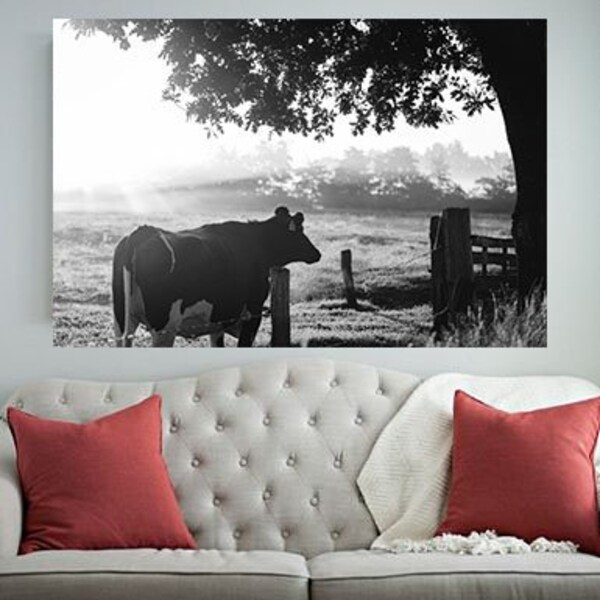 Baby Calves Picture, Animal Crossing, Highland Cow, Nursery Art, Country Photo, Printable Art, Baby Art, Cow Gifts, Cow Print, Farmhouse