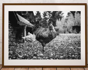 Fotoafdruk kip: muurkunst in boerderijstijl (digitale download)