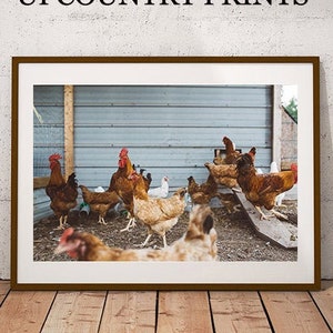 Kip kunst, kip decor, kip print, kip muur kunst, kippenhok, kinderkamer kunst, keuken decor, Fixer Upper, Boerderij Decor