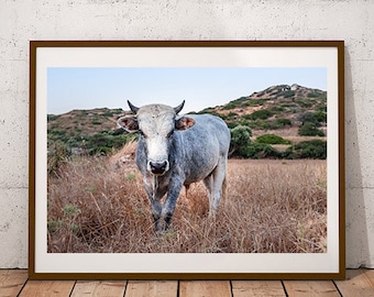 Foto koe: boerderij muurkunstprint (digitale download)