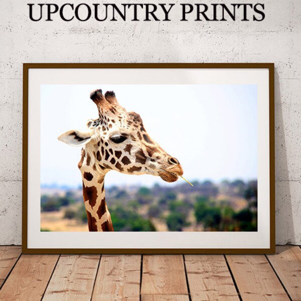 Giraffe Photo Print: Safari Nursery Art (Digital Download)