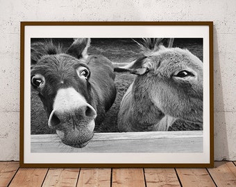 Donkey Photograph: Farmhouse Southern Art Print (Digital Download)