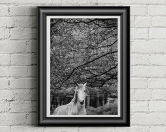 Impresión fotográfica de caballo: Arte mural de granja (descarga digital)