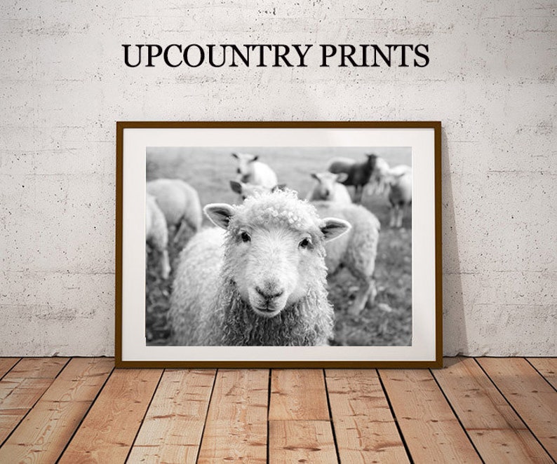 Sheep Art Sheep Sheep Wall Art Sheep Print Fixer Upper Etsy